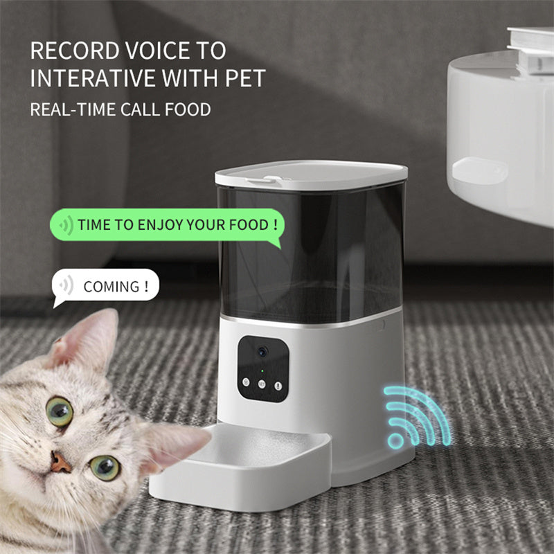 Automatic Pet Feeder-Cat,Dog Food Dispenser